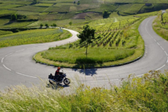 Motorradreise / Tour: Pfalz - Elsass