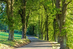 Motorradreise / Tour: Tagestour: Thüringen und Thüringer Wald