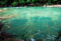 Motorradreise / Tour: Colombia: 3 Day Rio Claro Adventure - Medellin